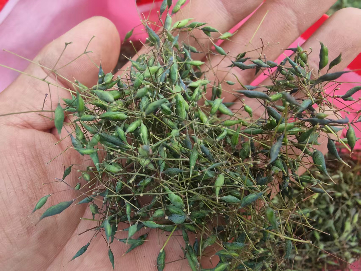 微信图片_202606231107491.jpg